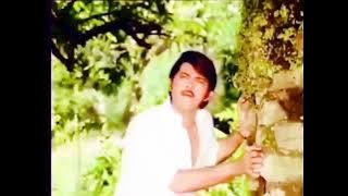 Deewana Deewana Deewana Kar Gaye Deewana __Aangan Ki Kali__1979_Bappi Lahiri_Rakesh Roshan