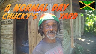 A normal day at Chucky's Yard