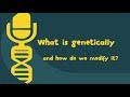 Genetically podified  the podcast  ep 2  what is genetically and how do we modify it