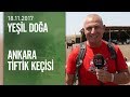 Yeşil Doğa, Ankara tiftik keçisini ekrana taşıdı - 18.11.2017 Cumartesi