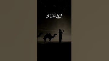 قال ربِ إنّي دعوت قومي ليلاً ونهاراً - القارئ المعيقلي