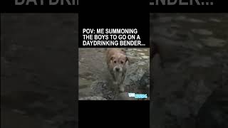 Anchorman summoning boys daydrinking bender #Shorts
