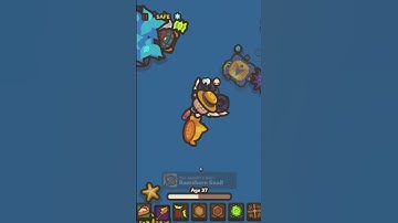 Taming io Cactching 3 Bugs At Once!