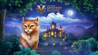 The New Mystery Manor – Try to catch Joshua! screenshot 5