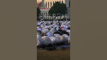 الآيات 26 27 28 من سورة النساء | عبد الرحمن الشحات