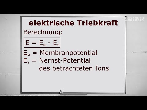 13 Elektrophysiologie: Triebkraft, Leitfähigkeit und GHK-Gleichung