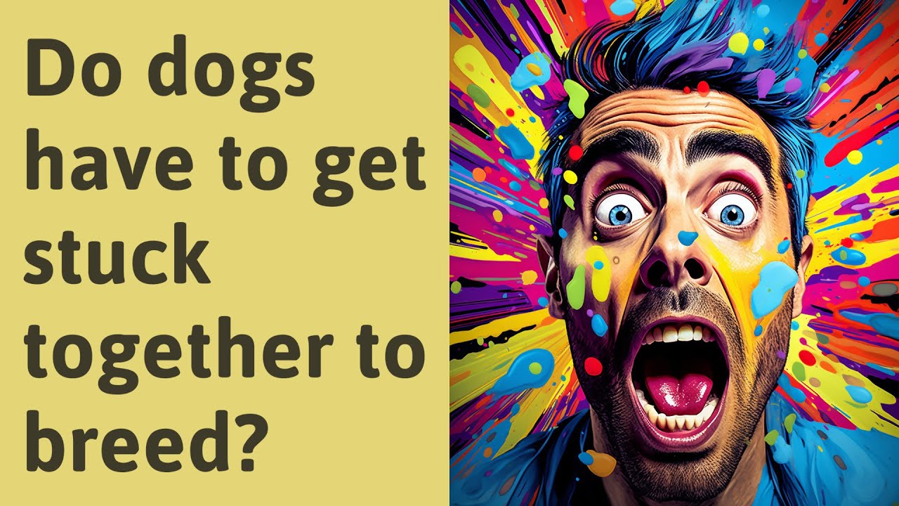 Do Dogs Have To Get Stuck Together To Breed YouTube do-dogs-have-to-get-stuck-together-to-breed-youtube