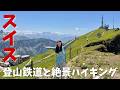 【絶景スイス🇨🇭トレッキング】登山鉄道で行く！ロッシュ・ド・ネ展望台！