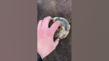 This stone at Whitby is a 180 million year old Jurassic fossil 🤯(IG: forgottenfossils)