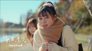 Saucy Dog「あぁ、もう。」Music Video chords