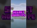 Secret worldtype in minecraft ?🙀#shorts