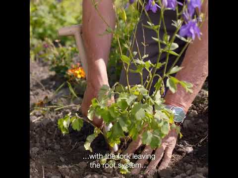 Great Dixter Fork Subtitles