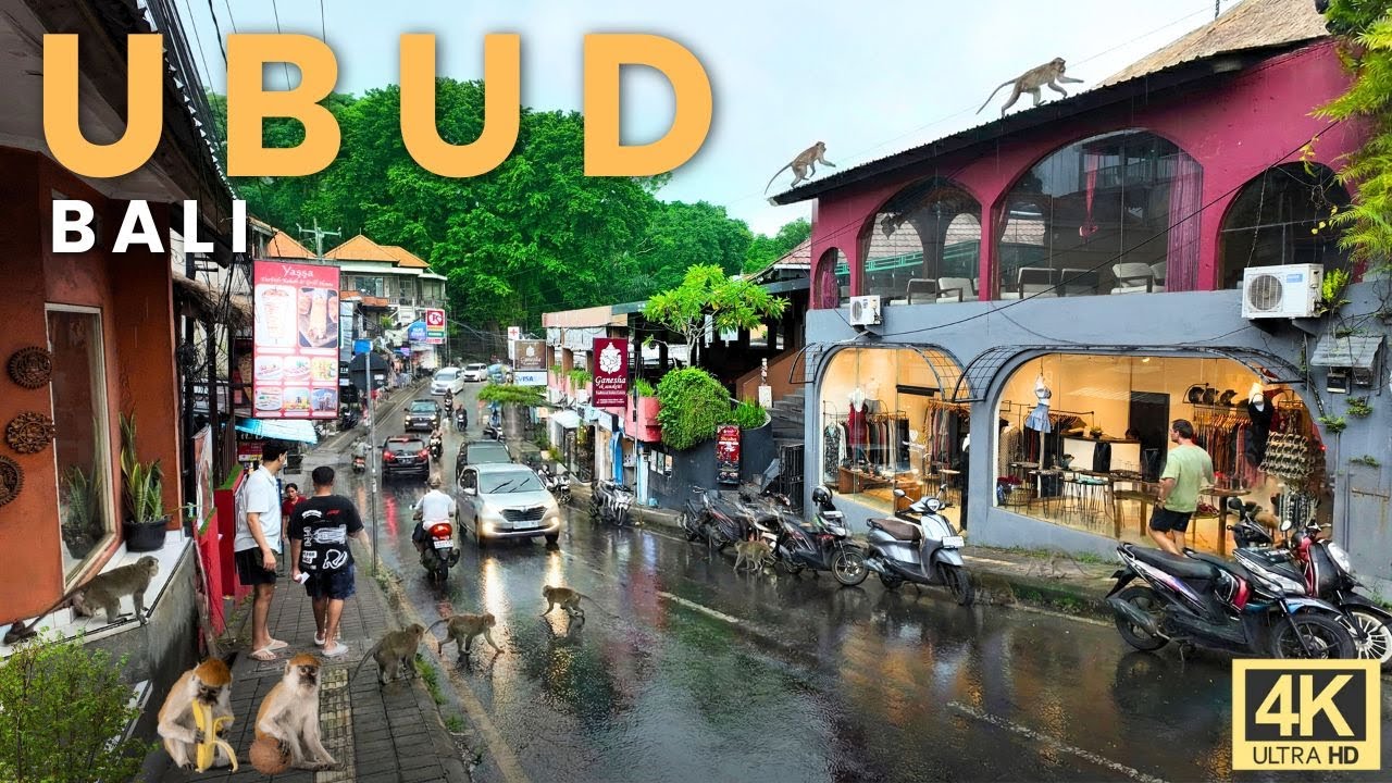 Slow Rain Walk in Ubud: Monkey Forest Street Atmosphere | No Talking 4K
