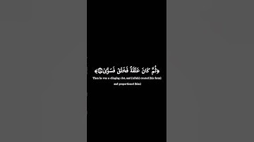 خواتيم سورة القيامة | القارئ زكي داغستاني رحمه الله #كرومات_قرآن