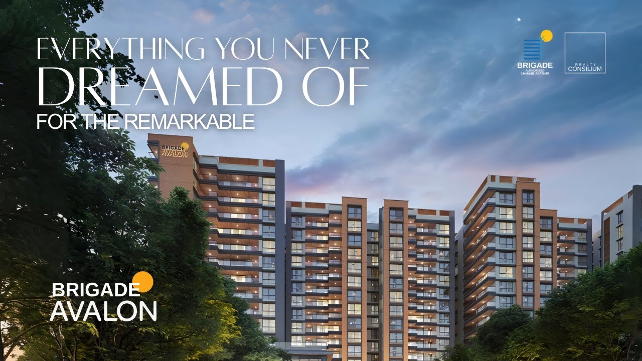 Brigade Avalon | Everything You Never Dreamed Of