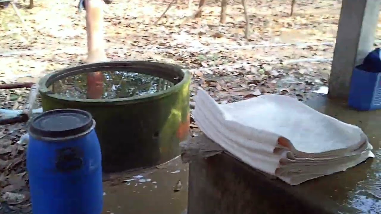 Tour of Glenn's Rubber Operation in Thailand.