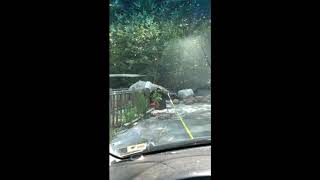 Rick and Vince take down a shed