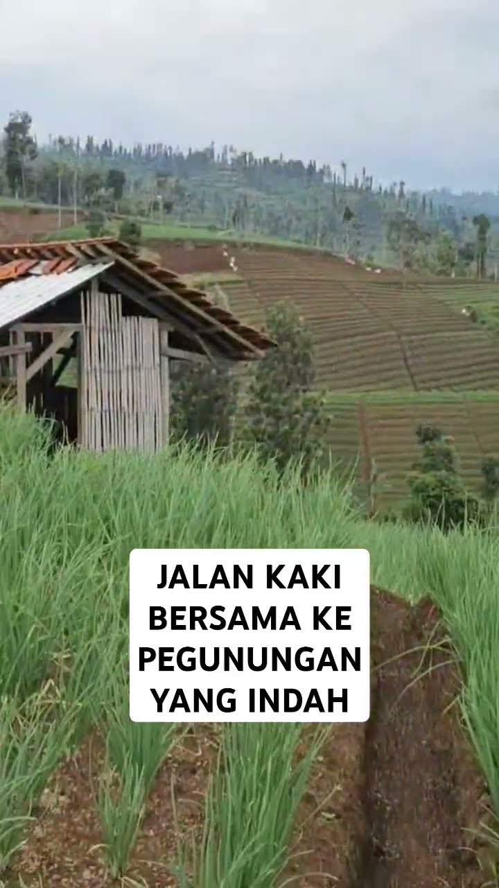 Jalan Kaki Berjama'ah