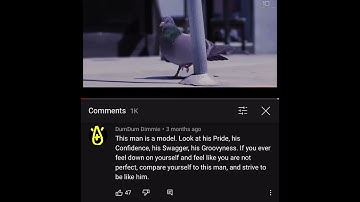 Thumbnail of Comment Award #41 (Pablo the Pigeon Walking and Dancing)