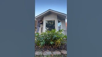 Installing windows: illuminating spaces 🪟🏡☀️#new #windows #install #sunnyday #idaho #boise