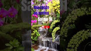 ORE O SALMO 91 SETE VEZES E TRANSFORME CADA ATAQUE INVISÍVEL EM LIVRAMENTO PODEROSO!