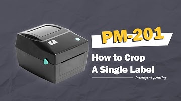 Phomemo PM201 Tutorial: (Win) How to Use "Take a Snapshot" on Adobe Reader to Crop A Single Label