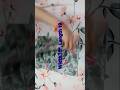baby dress #shorts #youtubeshorts #chandnistitchingcenter #viralvideo #shortvideo