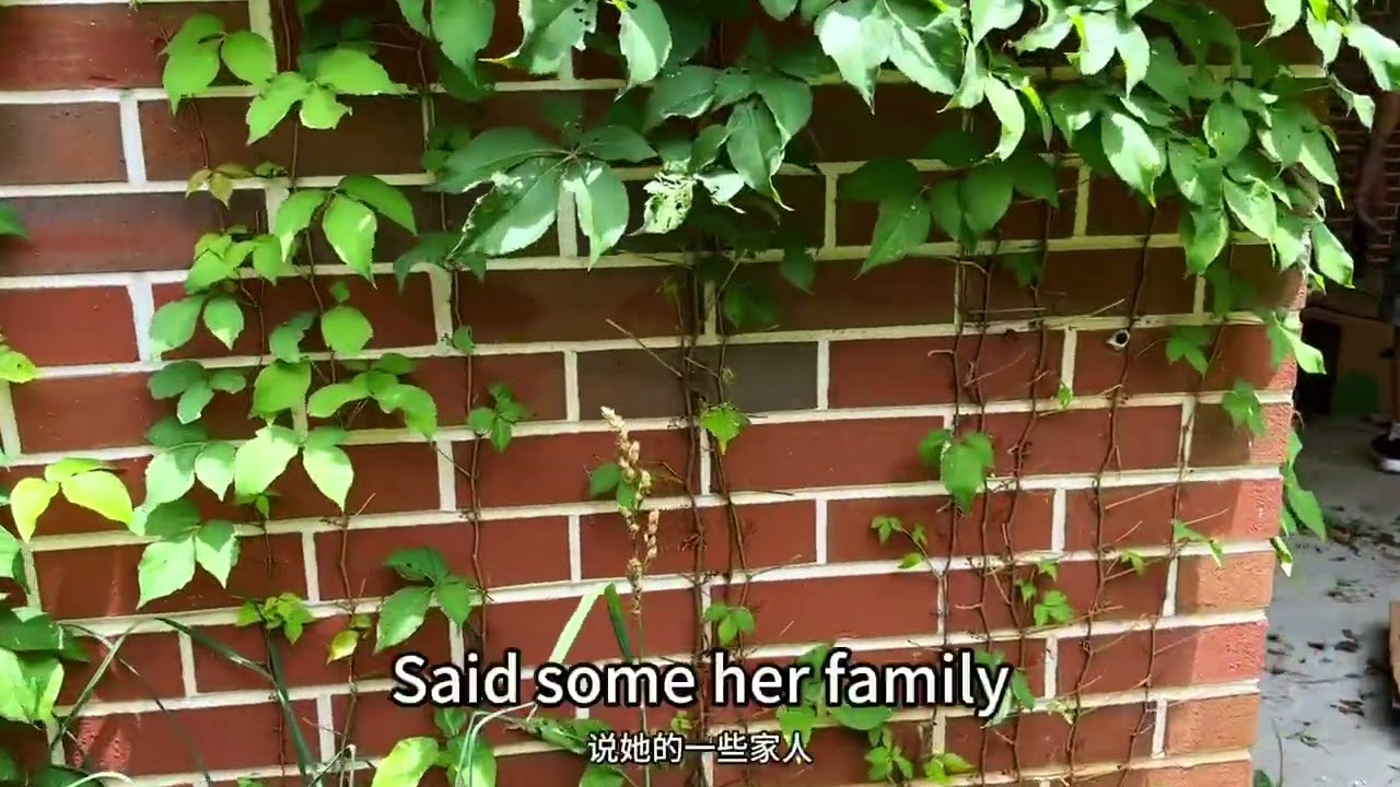 美國的養老院一般人住不起