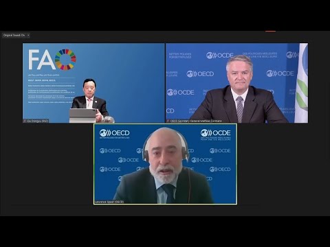 Launch of the OECD-FAO Agricultural Outlook 2022-2031