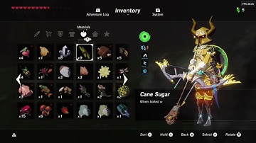 Dark Army Resurrection - Archery Stamina Showcase - Breath of the Wild Mod