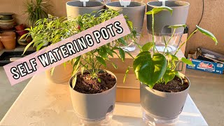 Cheap Self Watering Pots or Planter unboxing |Finally it's FALL SEASON 2021 | #selfwateringpots #pot