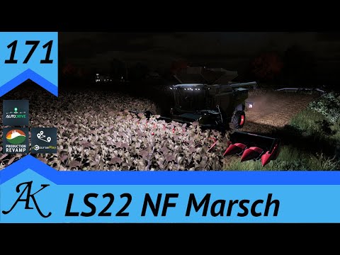 LS22 #171 Was stimmt nicht mit PF? Starten der Ernte in der Nacht #LetsPlay