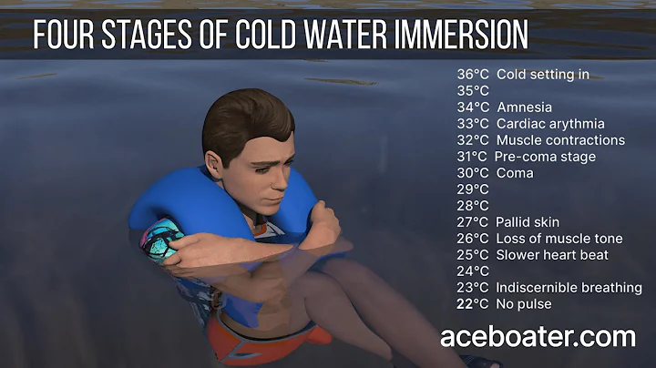 What happens in stage for cold water immersion? (2023)
