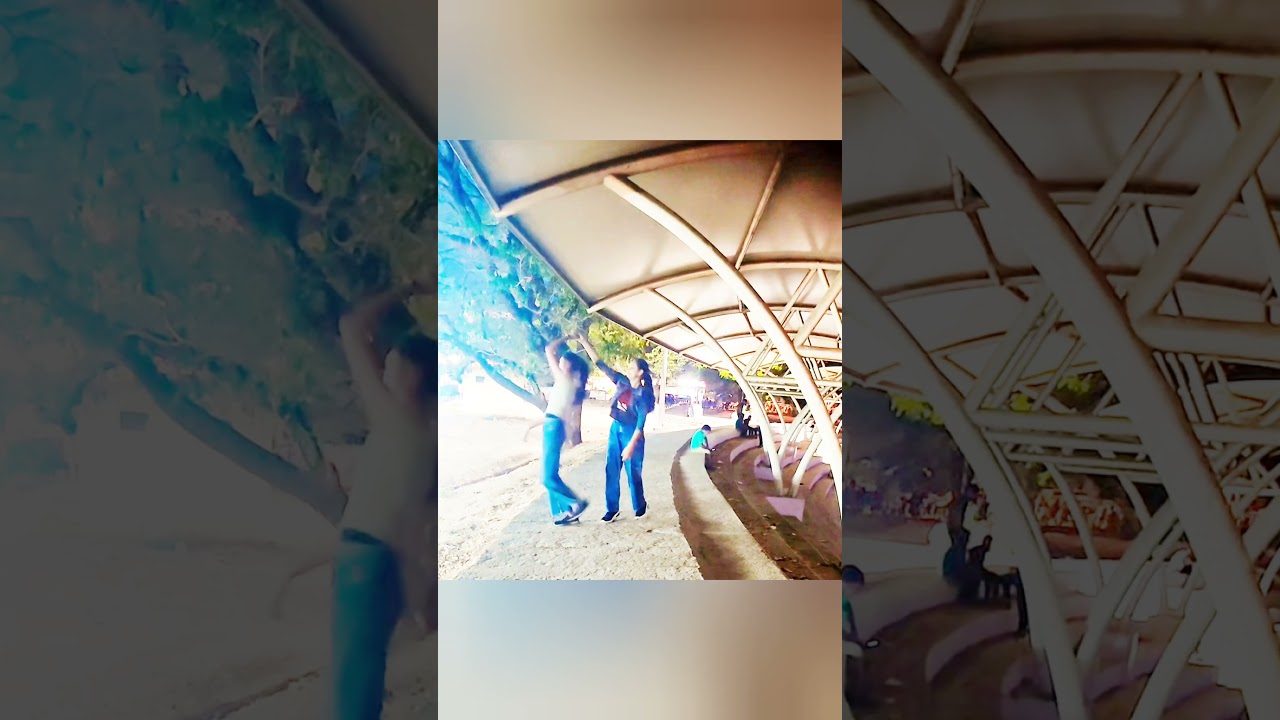 Celebration of friendship