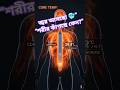 জ্বরের আগে কাঁপুনি কেন হয়? 😳 শরীর কি যুদ্ধ করছে? | Doctor Banana