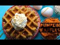 Healthy Breakfast Ideas | Healthy Pumpkin Spice Protein Waffles Recipe