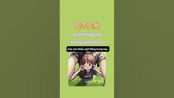 Các câu khẩu ngữ tiếng trung #tiengtrung #hoctienghoa #汉语 #learnchinese #learn #tiengtrungonline