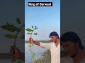 New Adivasi Short Video Akky And Rakshu Tribal village comedy #shirts #shortsfeed #short