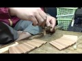 吉野杉ぐい呑が出来るまで   京都紫野 桶屋近藤　How to make a cedar cup