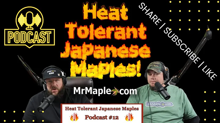 Heat Tolerant Japanese Maples | MrMaple Podcast ~ ...