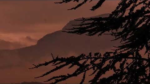 تلاوة جميلة جدا لسورة فاطر للقارئ حاتم المالكي🌼💚