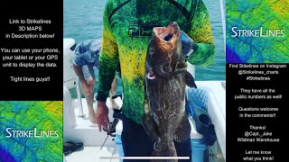 StrikeLines 3D Charts - Does it work Florida Keys Spearfishing and How to find the best spots!