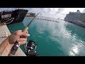 The Bermuda Fishing Experience!
