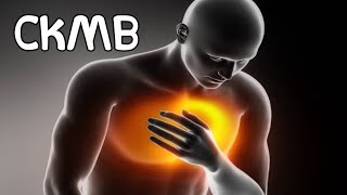 انزيم CK-MB وعلاقته بجلطات القلب