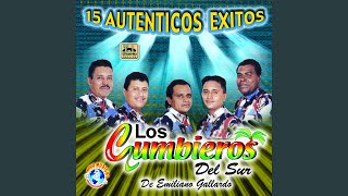 Video thumbnail of "Los Cumbieros del Sur - Que Me Castigue el Cielo"