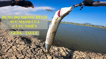 #caucavungtau - Đi Câu Cá ở BR Vũng Tàu - Sẩy Nhồng Hugo // cau ca tu nhien #caucatunhien