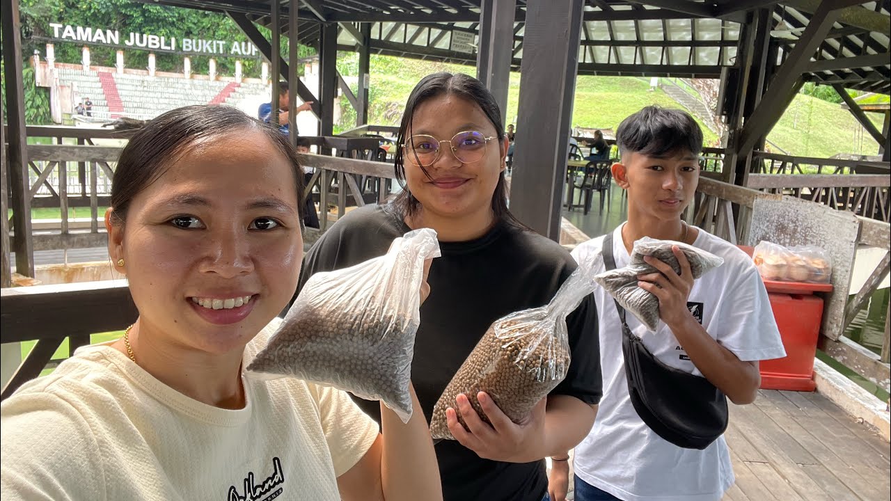 Bawa Bestie & Anak Buah Makan Cendol Serta Bagi Ikan Makan Di Taman Jubli Bukit Aup Sibu