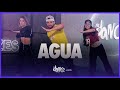 Agua - Tainy, J Balvin | FitDance Life (Official Choreography) | Dance Video