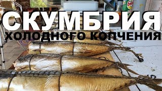 СКУМБРИЯ ХОЛОДНОГО КОПЧЕНИЯ РЕЦЕПТЫ СЮФ