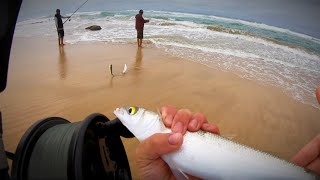 How to catch BIG mullet!